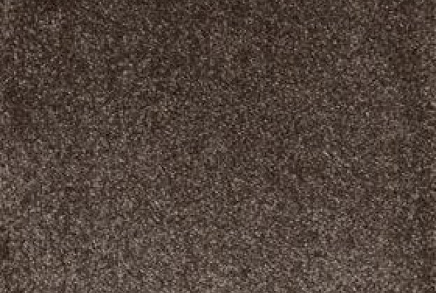 Nailonvaip AW Carpets, Sensualité Superbe 47 pruun _1