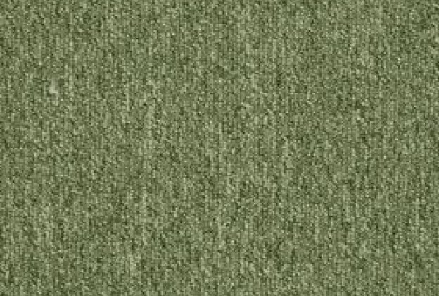 Nailonvaip AW Carpets, Medusa iMax 21- SAGE roheline_1