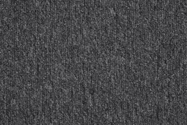 Nailonvaip AW Carpets, Medusa iMax 99 -  RAVEN hall_1
