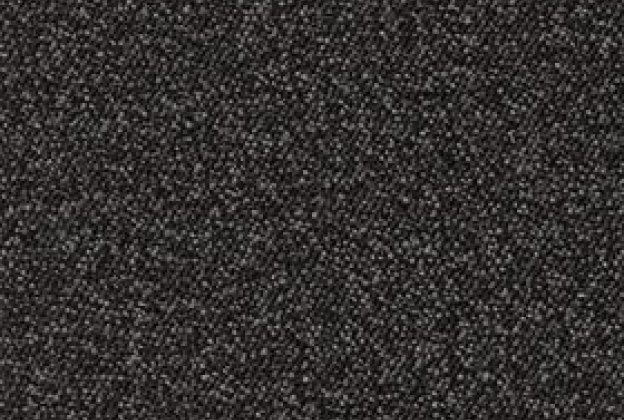 Nailonvaip AW Carpets, Maxima iMax 99 ANTHRACITE pruun/ hall_1