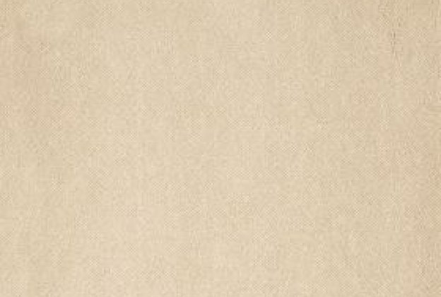 Nailonvaip AW Carpets, Impulso 31 - ICELANDIC beeź_1