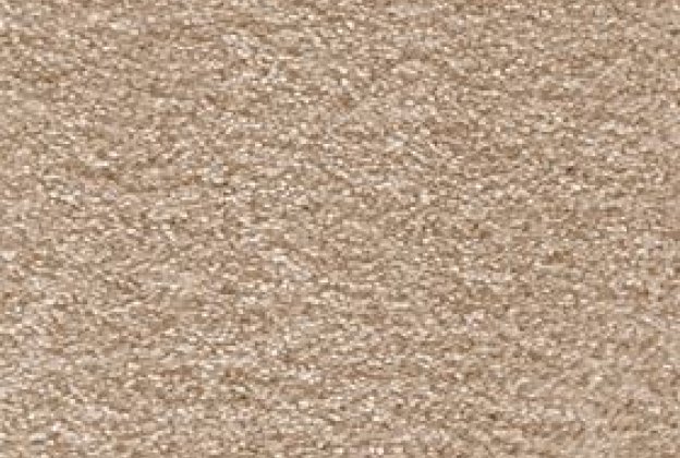 Nailonvaip AW Carpets, San Miquel 40 - Ginger pruun_1