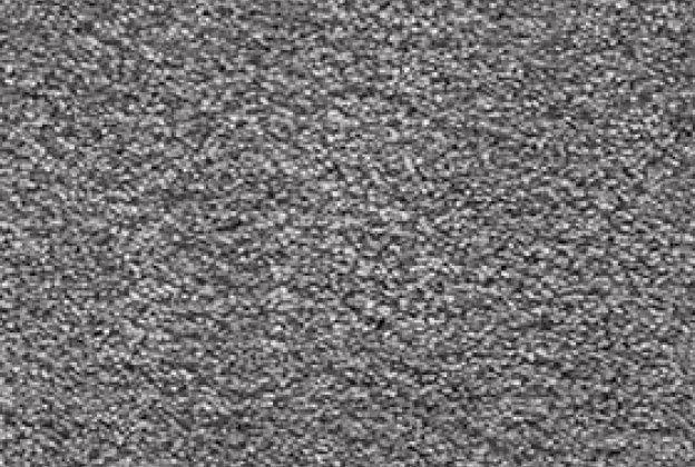 Nailonvaip AW Carpets, San Miquel 96 - Platinum hall_1