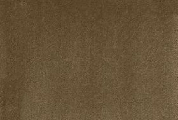 Nailonvaip AW Carpets, Tessa 24 - OLIVE roheline/ pruun _1