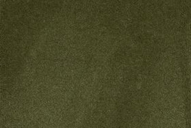 Nailonvaip AW Carpets, Tessa 29 - KALAMATA roheline_1
