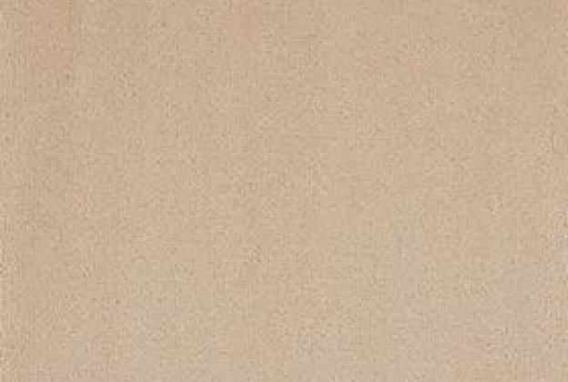 Nailonvaip AW Carpets, Tessa 31 - DUST beeź_1