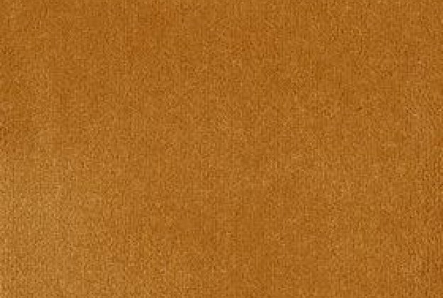 Nailonvaip AW Carpets, Tessa 54 - TANNIN pruun/ sinepikollane_1