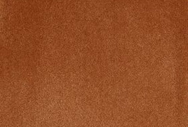 Nailonvaip AW Carpets, Tessa 84 - SIERRA pruun_1