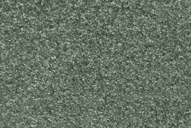 Nailonvaip AW Carpets, Gaia Yukon 27 - SAGE GREEN roheline_1