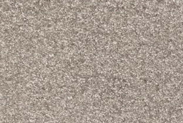 Nailonvaip AW Carpets, Gaia Yukon 49 - SAFARI hall/ pruun_1
