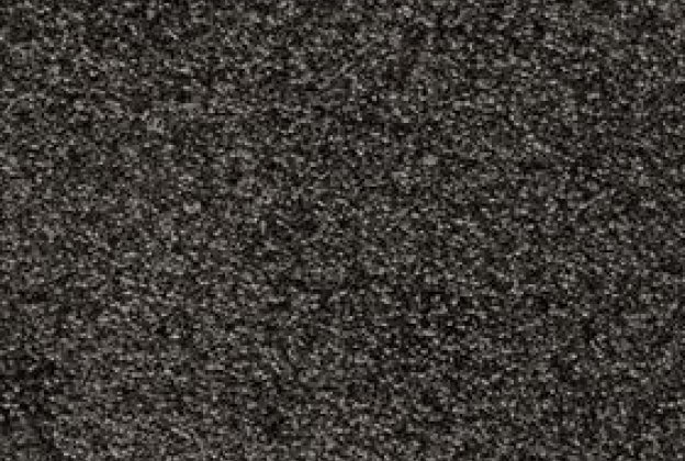 Nailonvaip AW Carpets, Gaia Yukon 99 - RAVEN hall_1