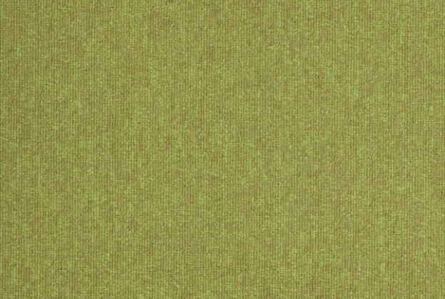 Plaatvaip Paragon Loop Pile Workspace Loop APPLE 6229 roheline_1