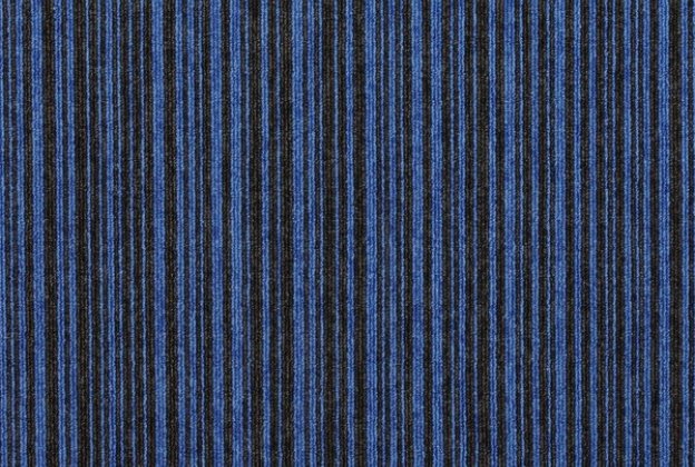 Plaatvaip Paragon Design Loop CODEC DIGITAL 6181 sinine_1