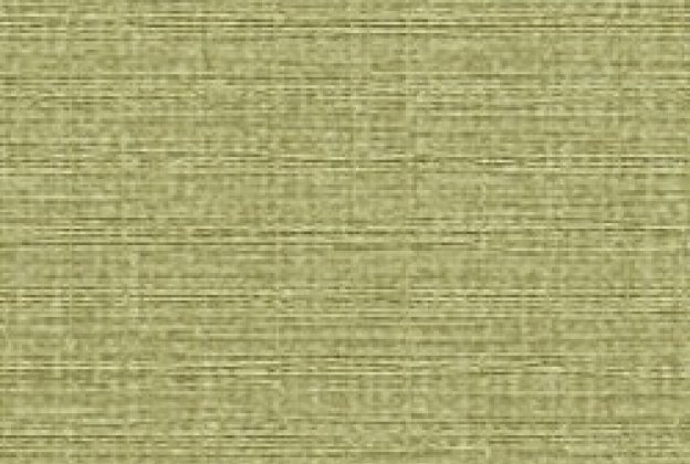 JUTE 31325_1