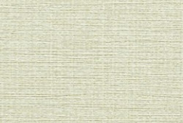JUTE 31329_1