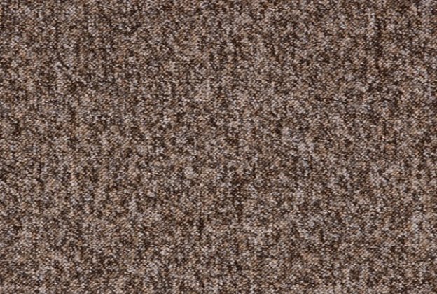 Plaatvaip Paragon Loop Pile Toccarre MONTAGNA 1549 pruun_1