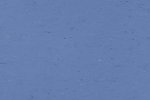 Linoleumi 0004 Bluebird_1