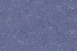 Linoleumi 0049 Royal Blue_1