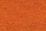 Linoleum 0117 Mandarin Orange_1