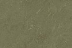 Linoleum 0138 Khaki_1