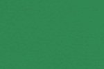 Sportpõrand Gerflor Taraflex Badminton 6570 Mint Green roheline (teisaldatav)_1