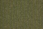 Plaatvaip Paragon Macaw Stripe | Lime / Quartz, 318101M roheline_1