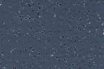 Elektrit juhtiv PVC Gerflor GTI EL5 Cleantech 0351 Black must_1