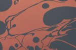 Vinüülseinakate Muraspec Lava-13440 hall/ punane_1