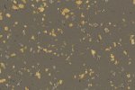 PVC äriruumi Gerflor Premium Compact 2749 Poesy Lyrique pruun_1