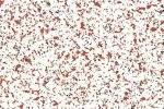 PVC kommersiella utrymme 4496 Light Sapphire_1