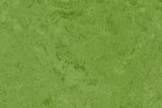 Linoleum Gerflor DLW Linodur 1011 AVOCADO GREEN roheline_1