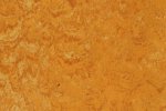 Linoleum 0072 Ferskenappelsin_1