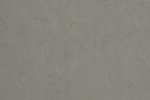Linoleum Gerflor DLW Lino Art Urban Acoustic Plus 0554 CONCRETE GREY hall_1