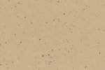 Linoleum Gerflor DLW Lino Art Moon 0234 Sand beeź_1