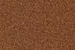 Nailonvaip AW Carpets, Maxima iMax 85 TERRACOTTA pruun_1