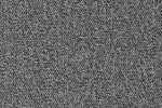 Nailonvaip AW Carpets, Maxima iMax 90 GRANITE hall_1