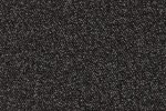 Nailonvaip AW Carpets, Maxima iMax 99 ANTHRACITE pruun/ hall_1