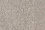 Nailonvaip AW Carpets, Highgrove Elite 39 hall/beeź_1
