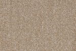 Nailonvaip AW Carpets, Highgrove Supreme 38 beeź_1