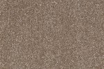 Nailonvaip AW Carpets, Highgrove Supreme 42 pruun_1