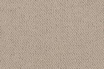 Nailonvaip AW Carpets, Tiber 37 - Sisal beeź/ hall_1