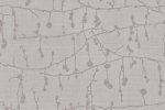 Tekstiiltapeet Vescom Ivylin 2621.94 pruun_1