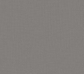 Akustiline PVC, IVC Optimise 70 ROCHUS T97 hall