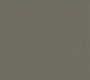 Linoleumi 0058 Saviharmaa