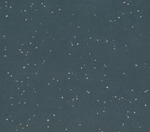 Linoleumi 0070 Cool Grey