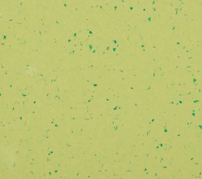 PVC äriruumi Gerflor Mipolam BioPlanet 5427 Green Zest roheline