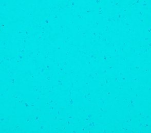 PVC äriruumi Gerflor Mipolam BioPlanet 5437 Reef Water sinine