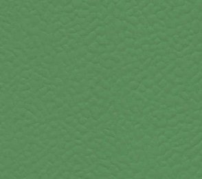 Sportpõrand Gerflor Taraflex Recreation 60, 6556 Verde roheline 