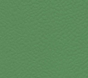 Sportpõrand Gerflor Taraflex Recreation 45, 6556 Verde roheline