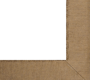 Vaiba ääristus Chenille 403 - honey pruun